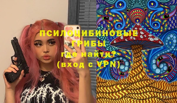 дмт Верея