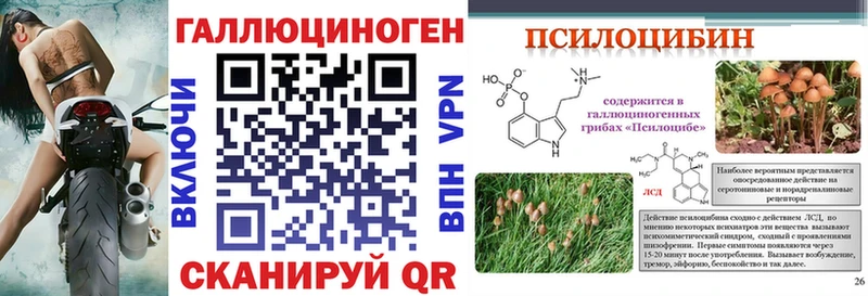 Галлюциногенные грибы Cubensis  Купить где  Жигулёвск 